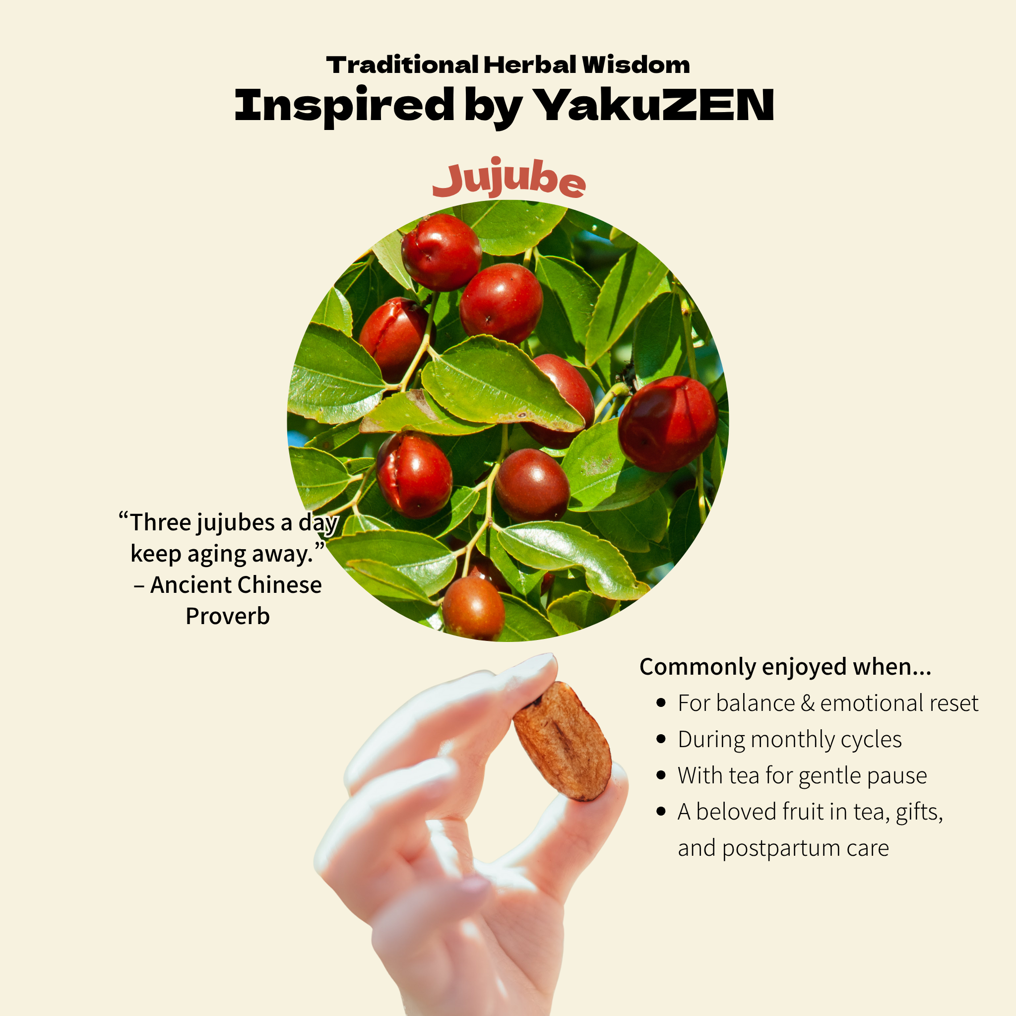 BROWN SUGAR 1ST - Vente Fruits secs/déshydratés - ⭐️70% DE RÉDUCTION + Livraison gratuite | Jujube Croquant – Snack ZEN | BB 25/92