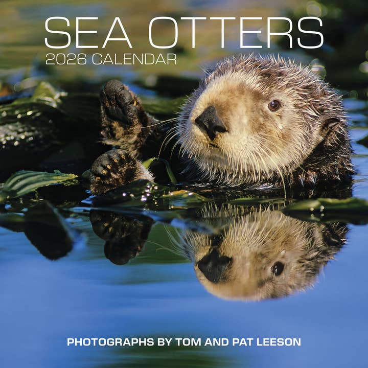 Pomegranate – wholesale Calendar – Sea Otters: Photographs by Tom and Pat Leeson 2026 Wall Calendar