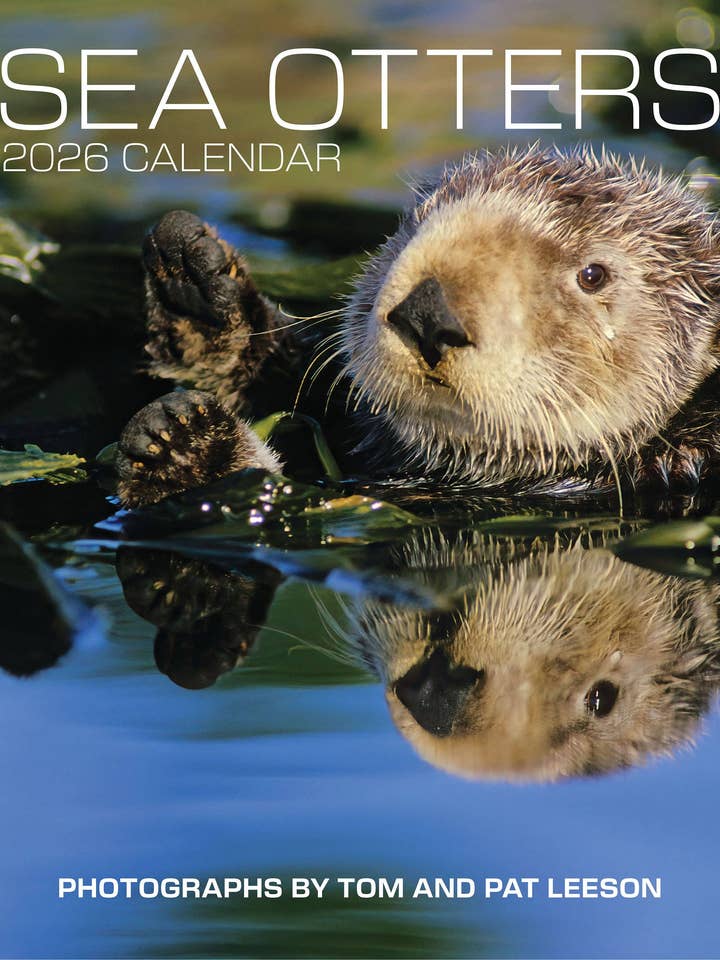 Nutrias Marinas: Fotografías de Tom y Pat Leeson Calendario de Pared 2026 para venta al por mayor de Pomegranate