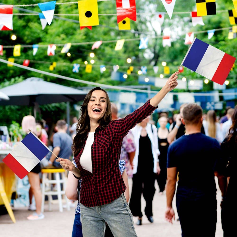 Flags Importer - Wholesale Flag - France 12x18in Stick Flag1