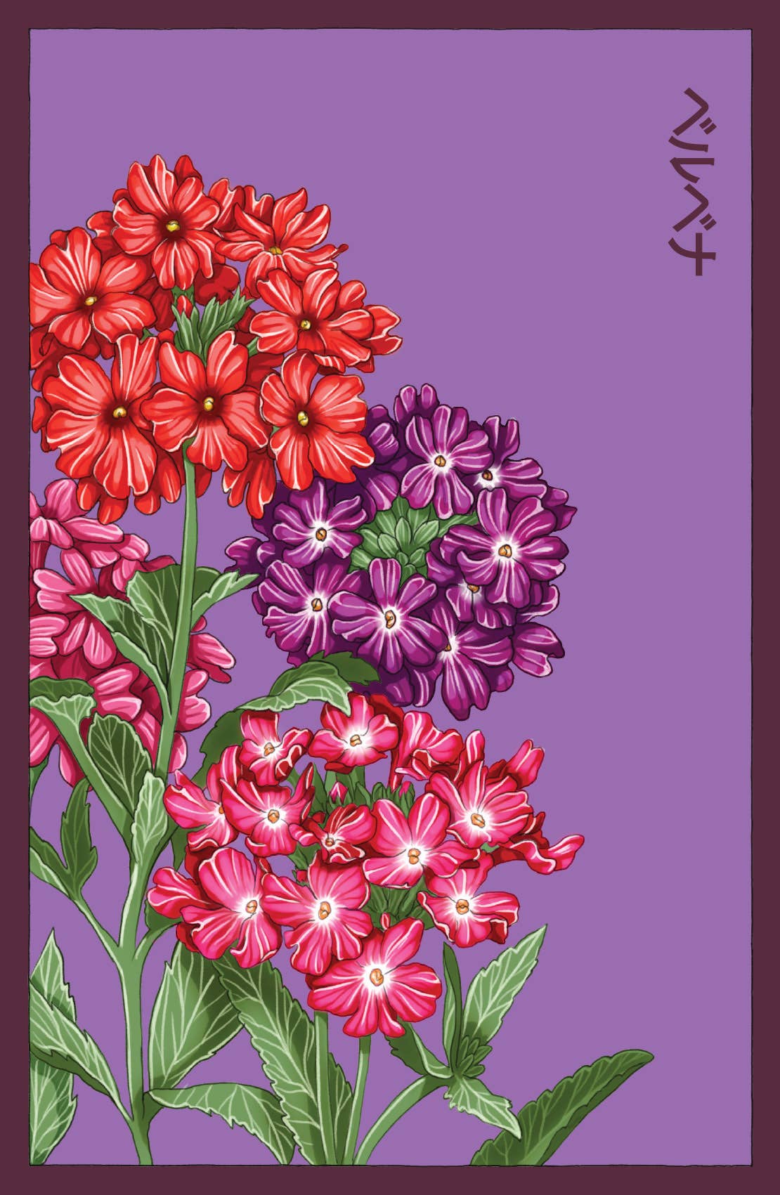 Chive UK – wholesale Plant seeds – Funky Seeds Packets - 48 Assorted8