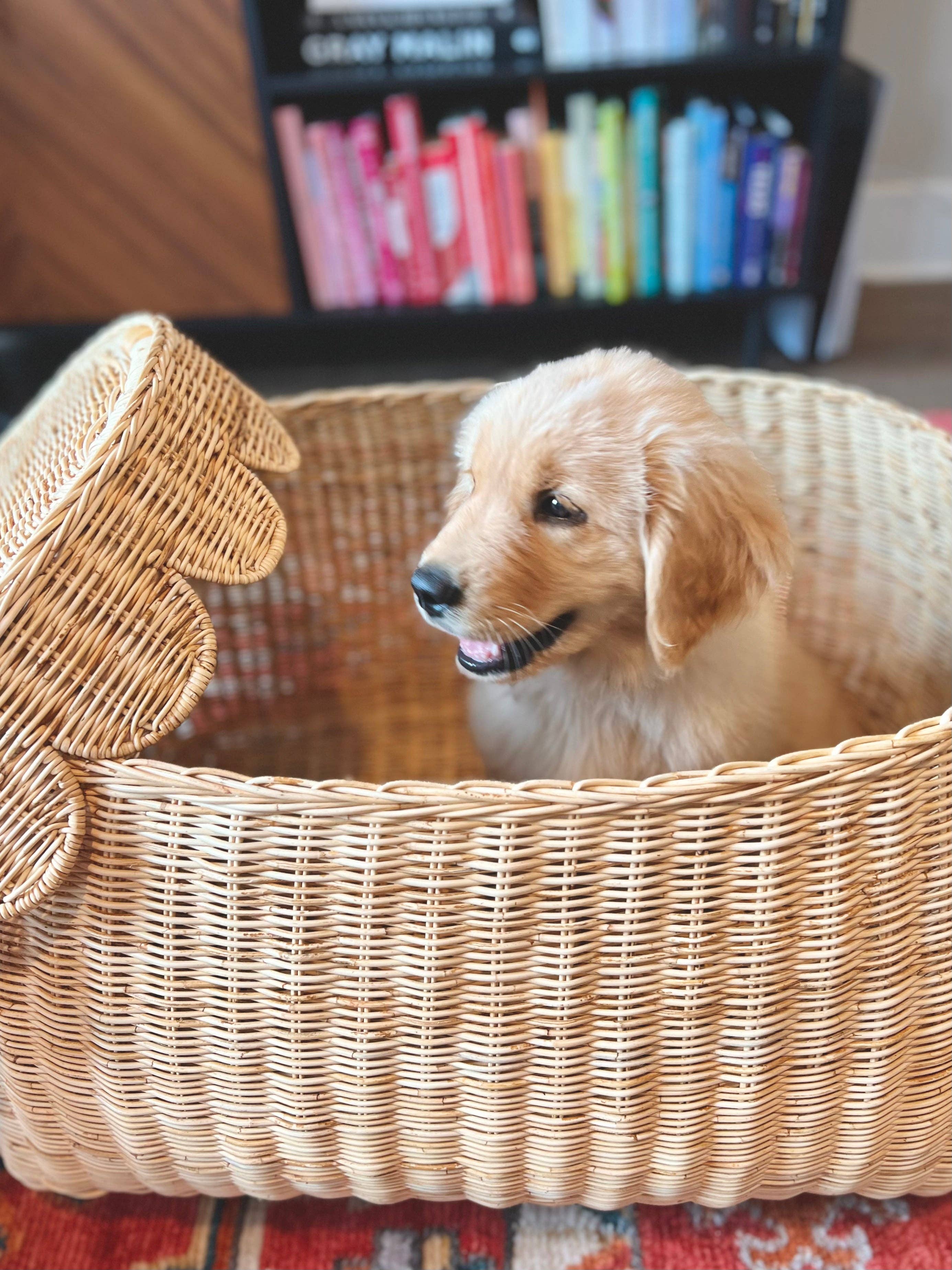 Auden & Avery - Wholesale Basket - Scalloped Rattan Basket - Medium 8