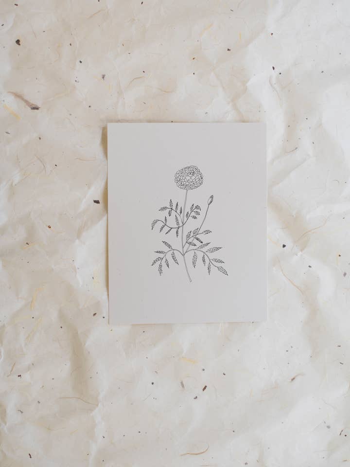 Marigold 8x10 Print for wholesale by Krista Pischner Studio