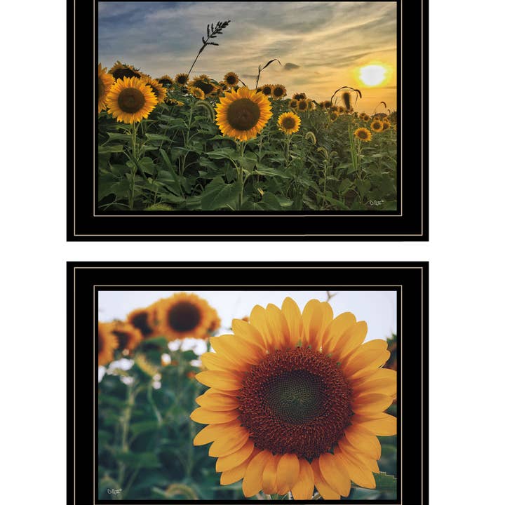 "Midwest Living Collection" 2-Piece Vignette By Donnie for wholesale by Trendy Decor 4U