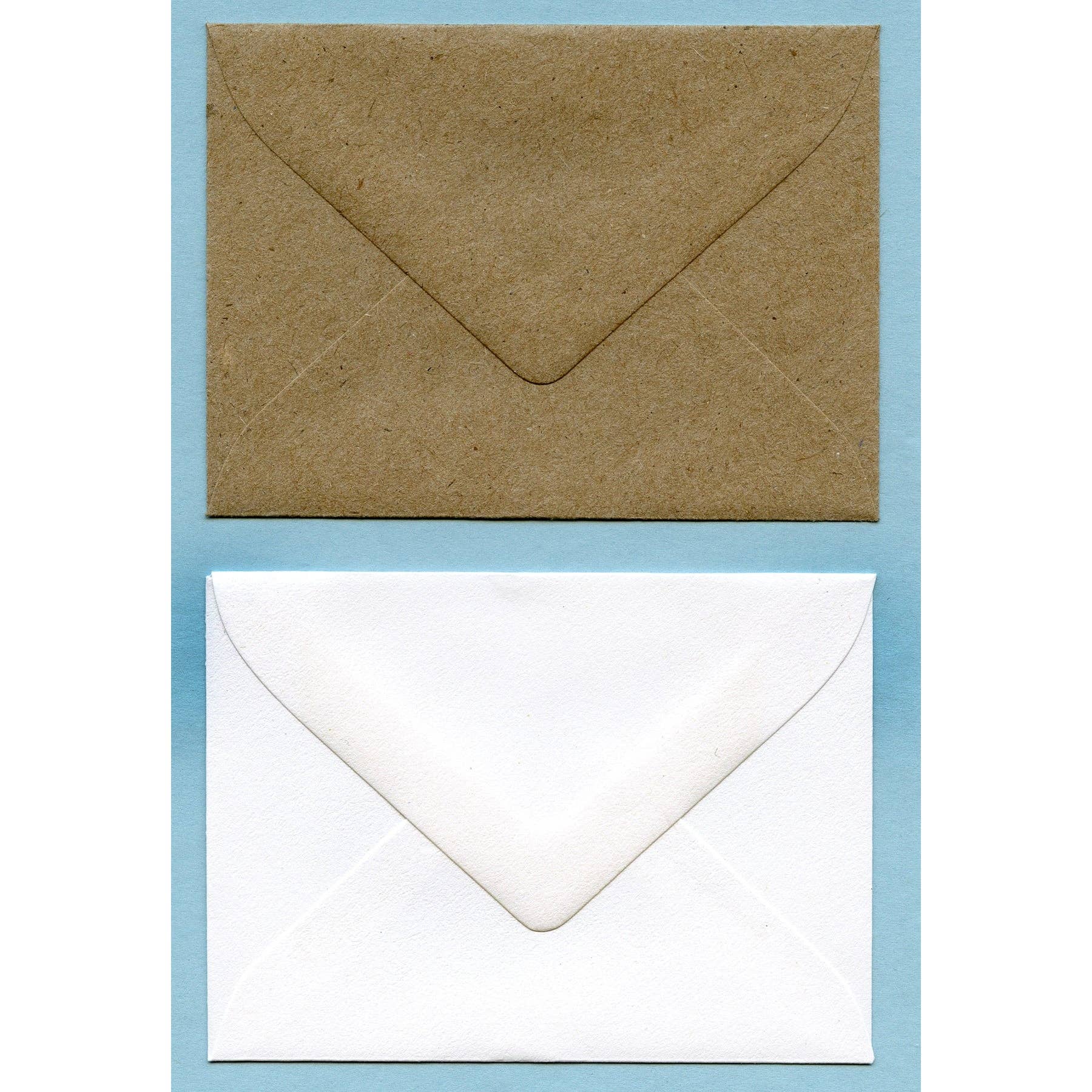 Zucchini Fish – wholesale Julkort – Snow Day Tree Farm inneslutningskort3