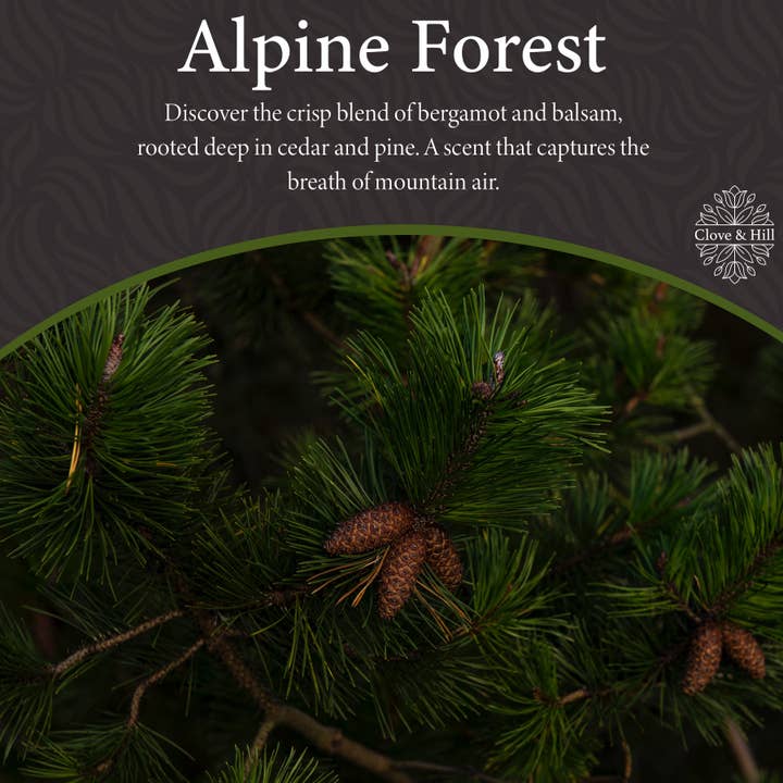 Clove & Hill - Wholesale Jar/Filled Candle - Alpine Forest Signature Candle2