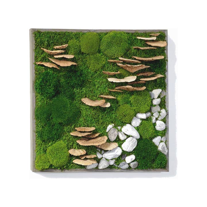 Moss with Fungus and Rock 24” X 24” for wholesale by Artisan Moss