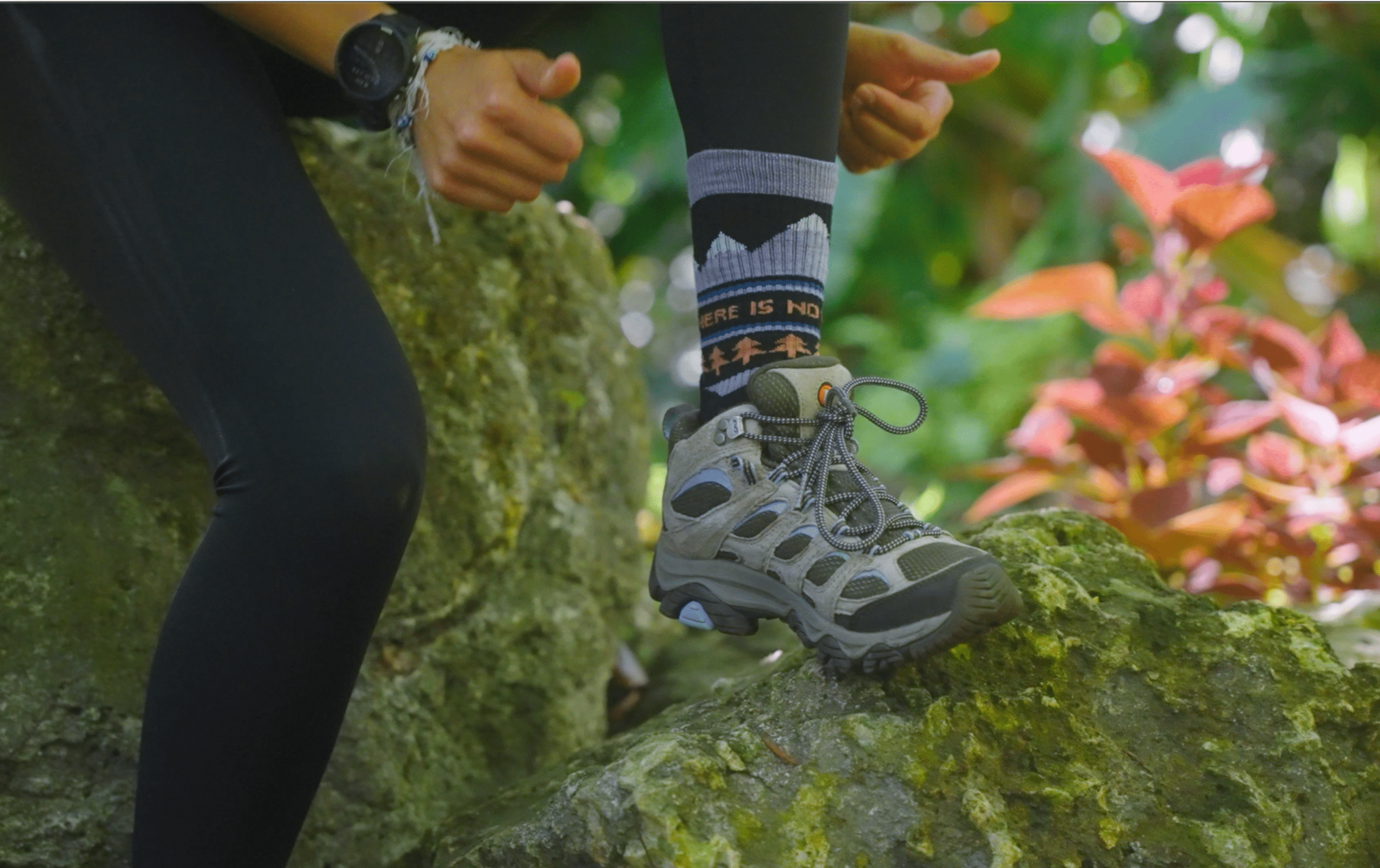 ToughCutie - Wholesale Socks - Women's - No Planet B Merino Wool Hiker Crew4