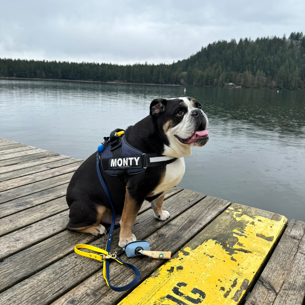 Monty's Bags - Vente Distributeur de sacs à déjections canines - Distributeur de sacs à crottes en cuir végétalien avec 15 sacs de taille standard13