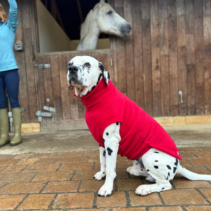 Doghouse - Wholesale Pet Sweater - Dog - Extra Large Breed Dog Fleece Jumper