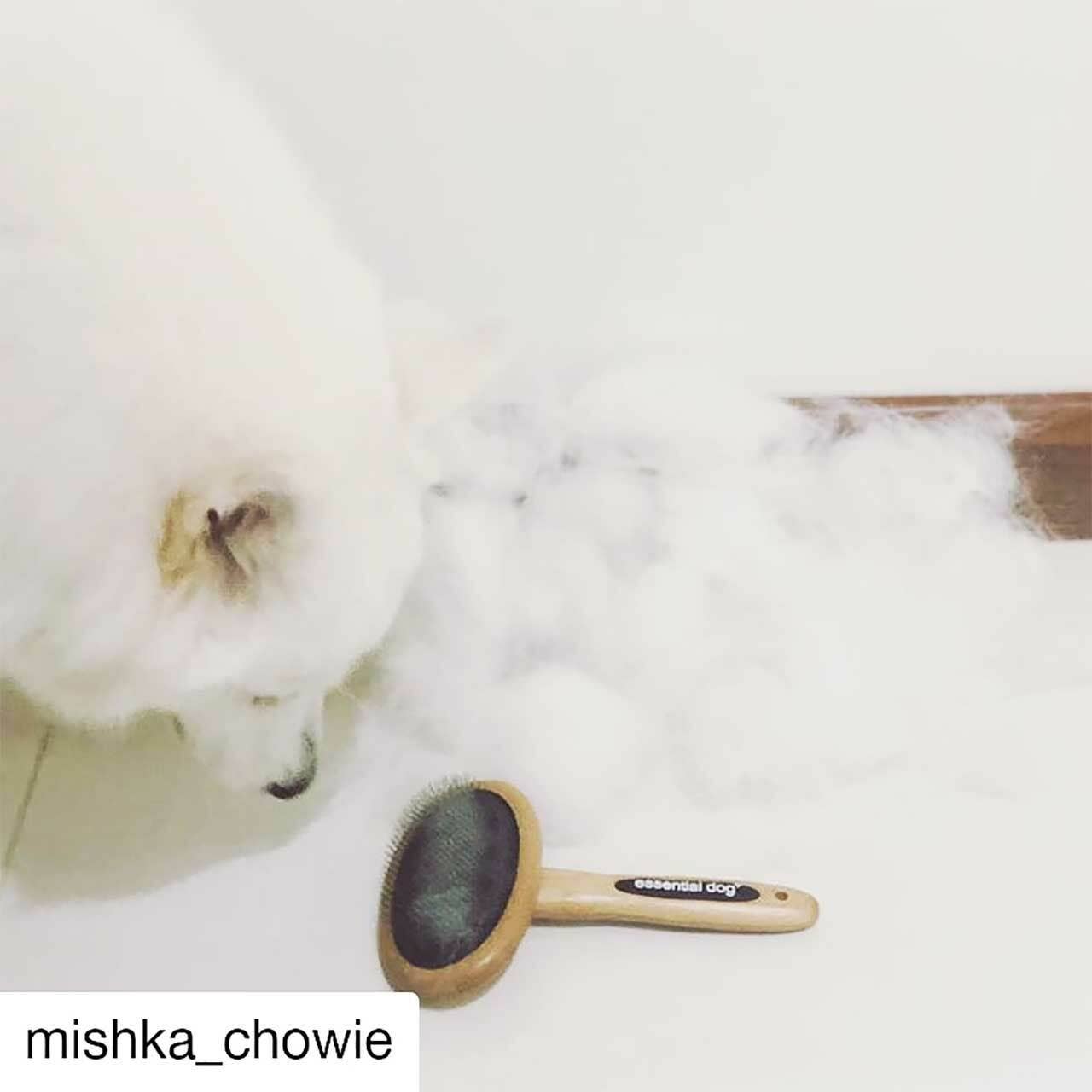 Essential Dog - Wholesale Pet brush – Cat/dog - Natural Bamboo Slicker Brush: Cats & Dogs1