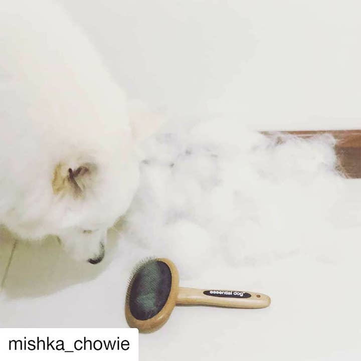 Essential Dog - Wholesale Pet brush – Cat/dog - Natural Bamboo Slicker Brush: Cats & Dogs1