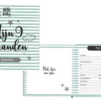 Hello Baby - Negen maandenboek - Zwangerschap - dagboek voor wholesale door MGP Cards