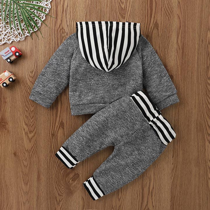 Fennco Styles - Wholesale Top & Pant Set - Kids - Grey Dinosaur Baby Hooded Sweatshirt and Pants