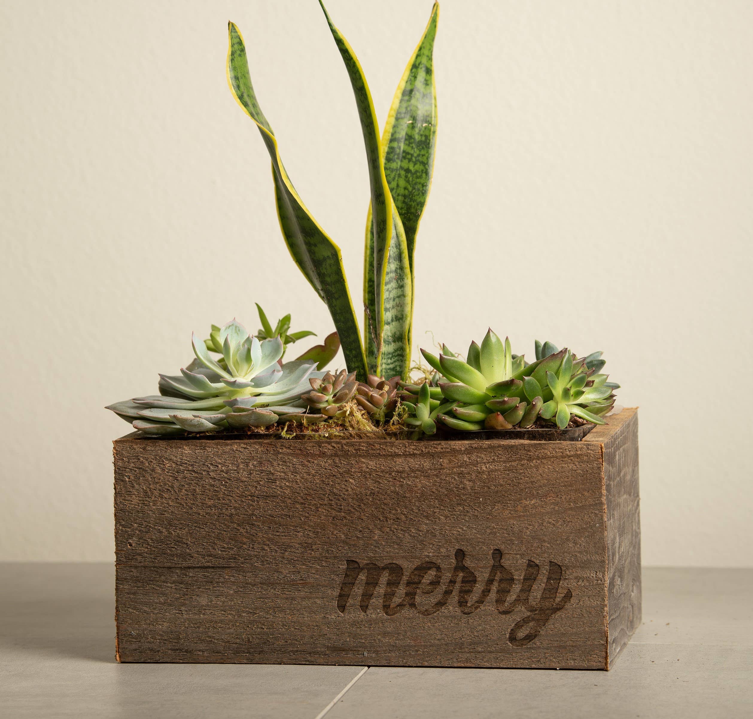 Love Reclaimed - Vente Jardinière - Joyeux Noël Bac à Plantes / Caisse en Bois Recyclé2