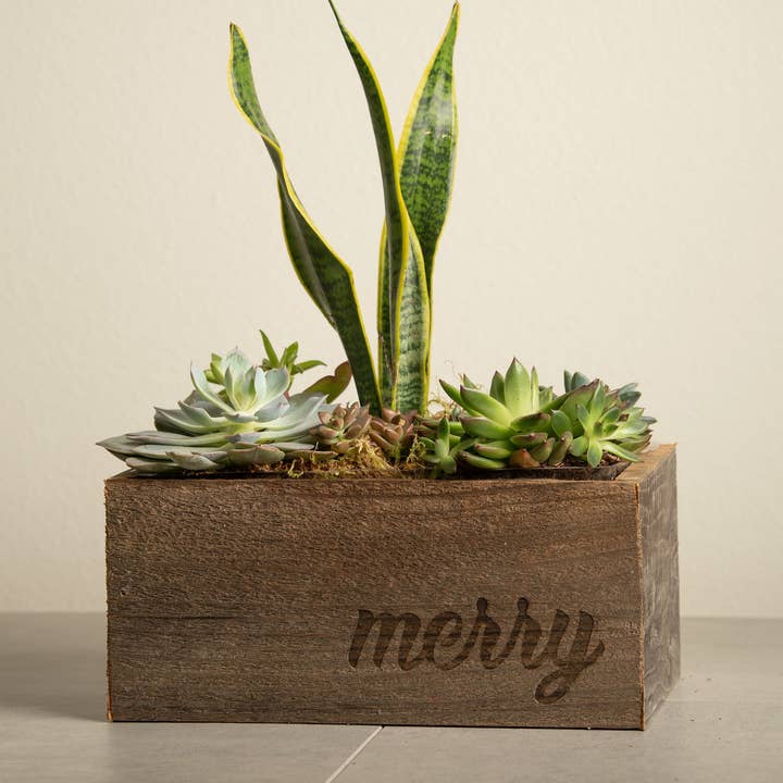 Love Reclaimed - Vente Jardinière - Joyeux Noël Bac à Plantes / Caisse en Bois Recyclé2