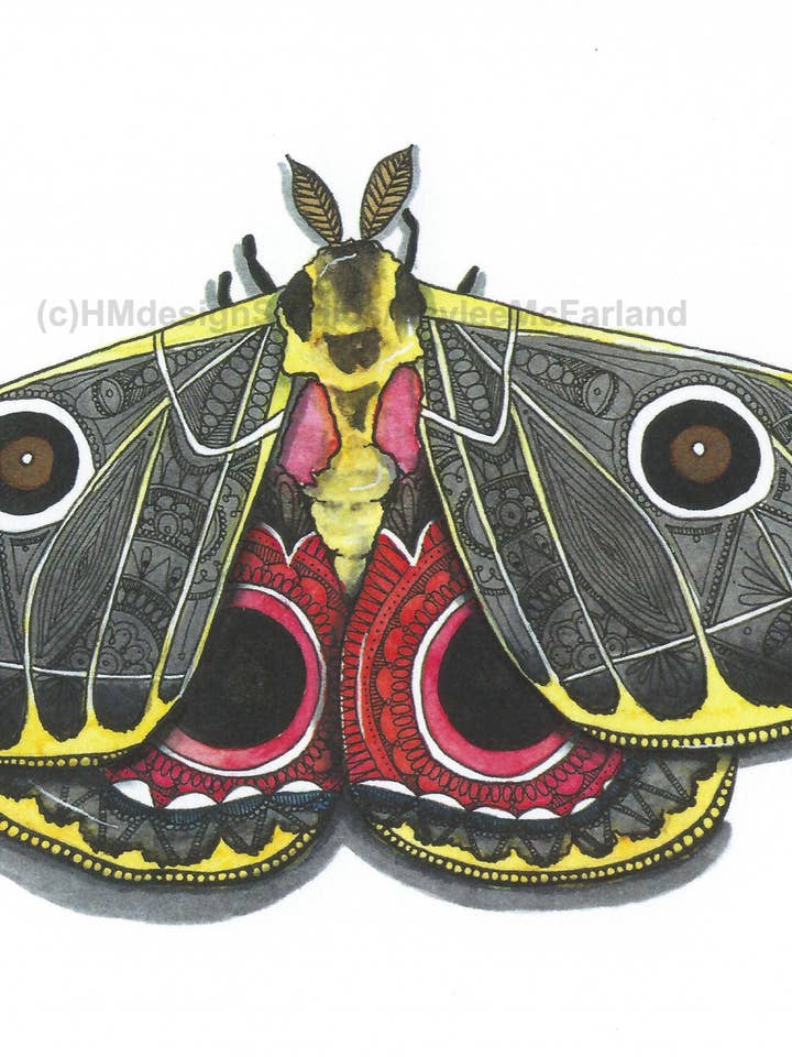Petite impression artistique Moth #9 pour la vente par HMdesignStudios