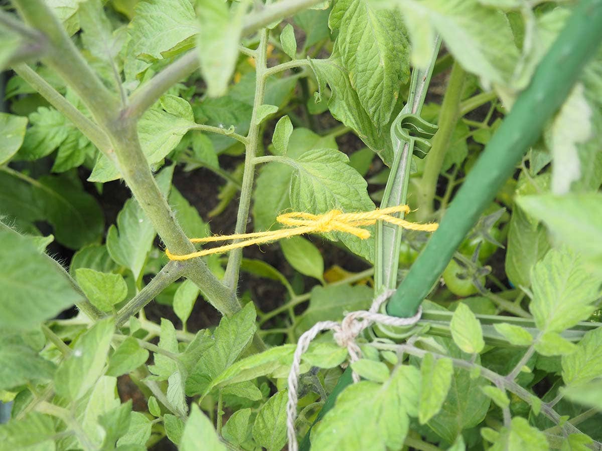 JARDIN Y NATURA OUTDOOR & GARDEN PRODUCTS SL – Engroshandel Haveværktøj – Gul jute reb 50 meter - YUTIE GUL1