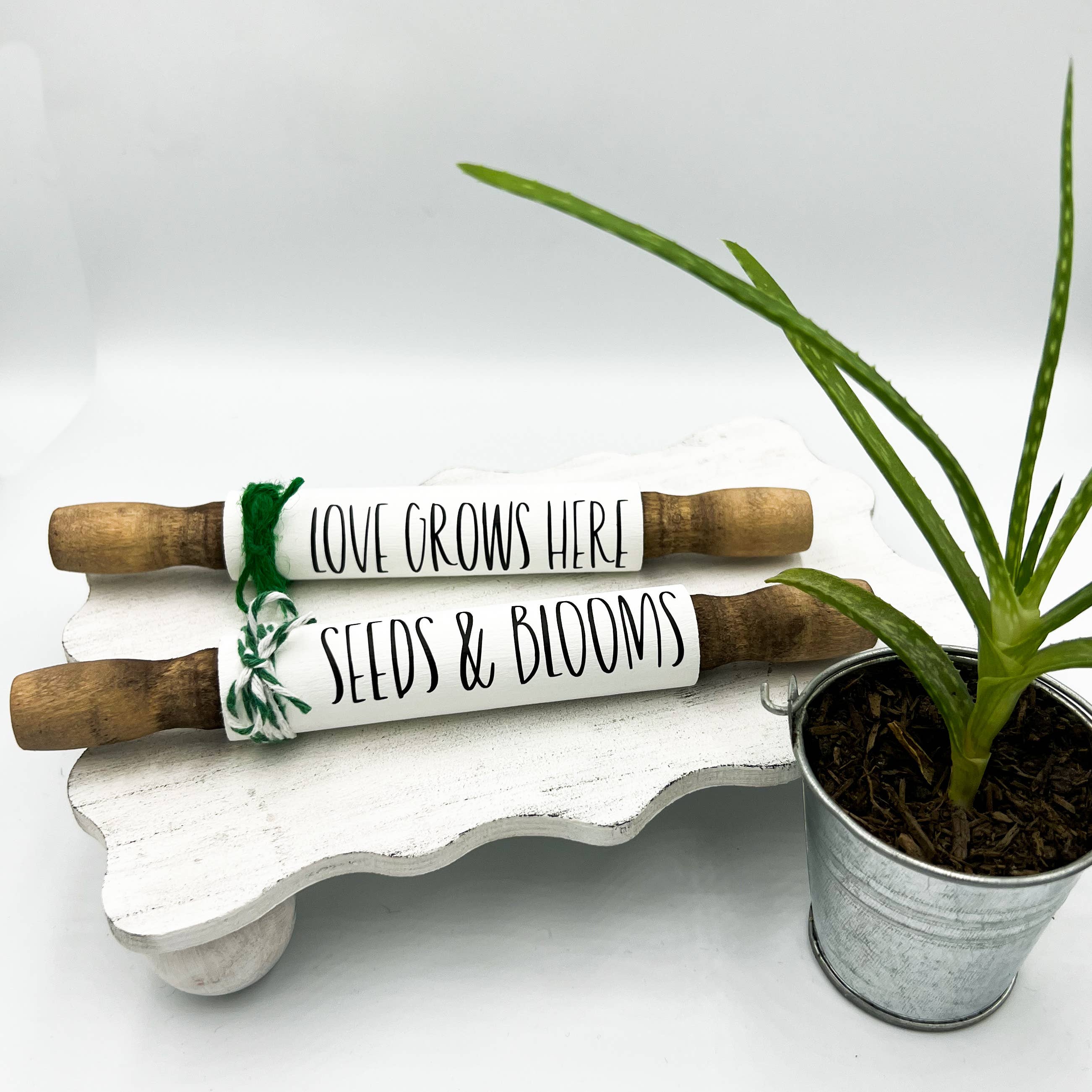 Ruaille Buaille Co – Engroshandel Bordpynt – Mini plantekavle | Sukkulent indretning | Planteelskerindretning3