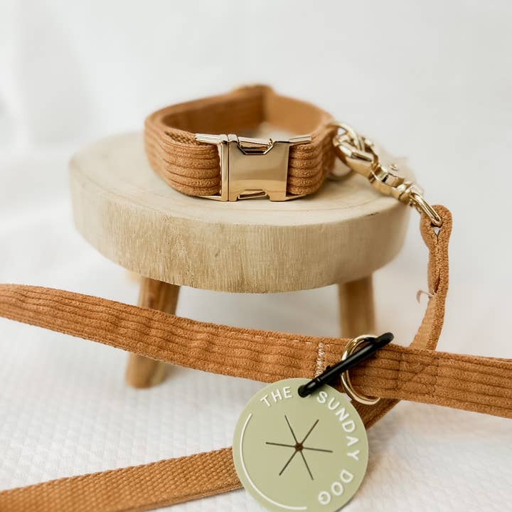 The Sunday Leash for wholesale by The Sunday Dog