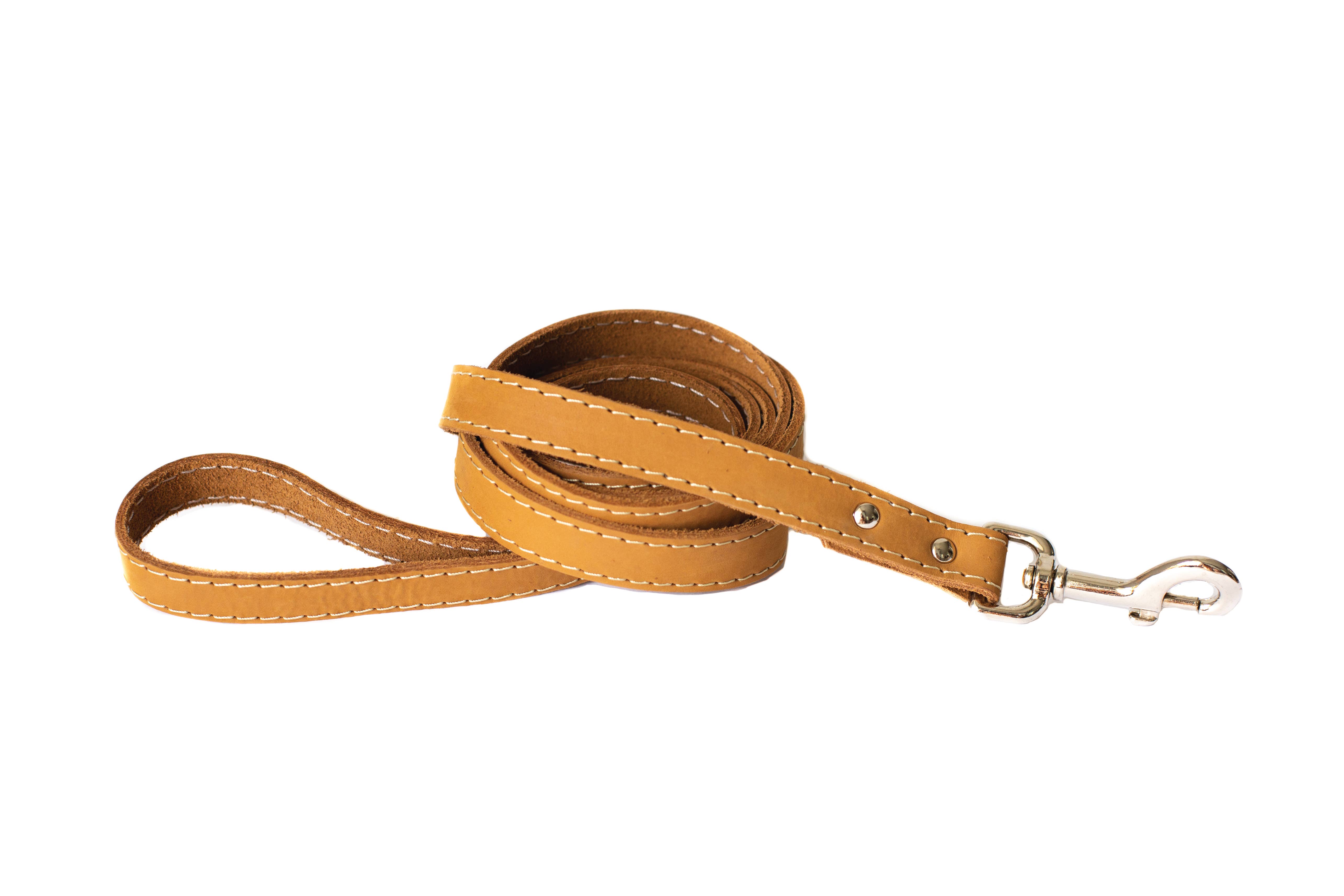 Euro-Dog Collars and Leads - Vendita all'ingrosso Guinzaglio - Cani - Guinzaglio per Cani in Pelle Pro Caccia Stile Tradizionale con Moschettone in Acciaio4