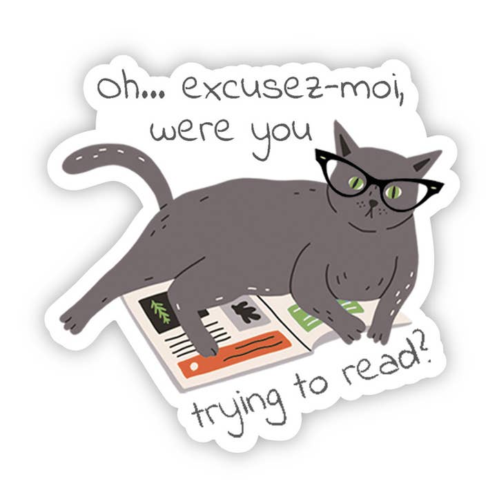 Fly Paper Products - Wholesale Sticker - Fierce and Feisty Feline Reading Cat Vinyl Sticker 1