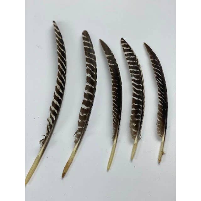 Zucker Feather Products - Vente Plume - Plumes de dindon barrées, aile gauche, 12 pièces, naturelles1