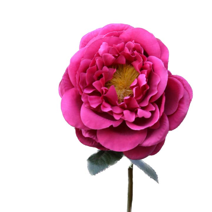 Mezu Silk Flowers – Großhandel Künstliche Blumen – Künstliche dunkelrosa große einzelne alte englische Rose