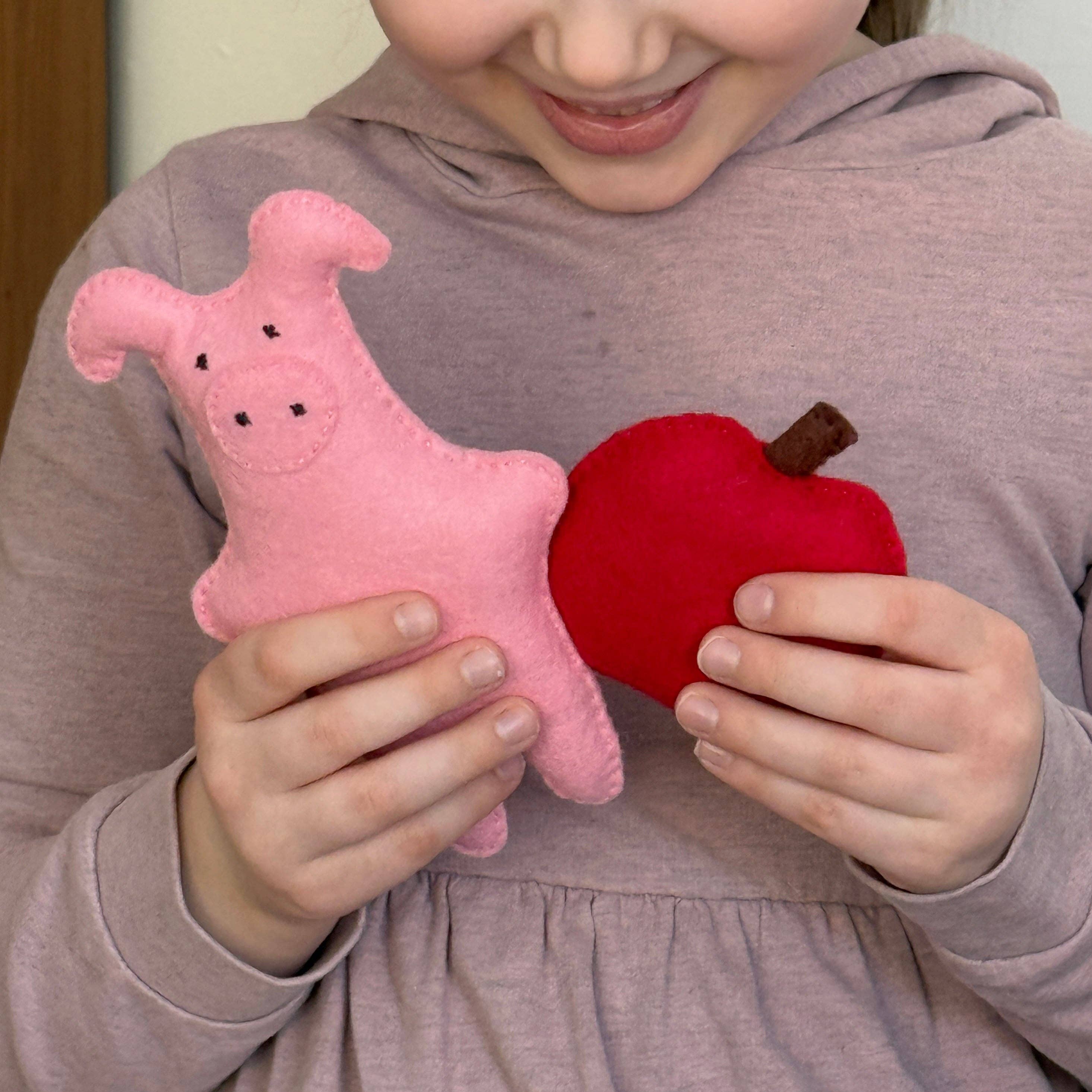 Mimihali - Wholesale Craft Sewing Kit - PIG and APPLE felt sewing kit for kids1