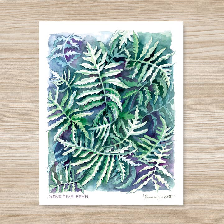 Sensitive Fern Art Print for wholesale by Rosalie Haizlett Illustration