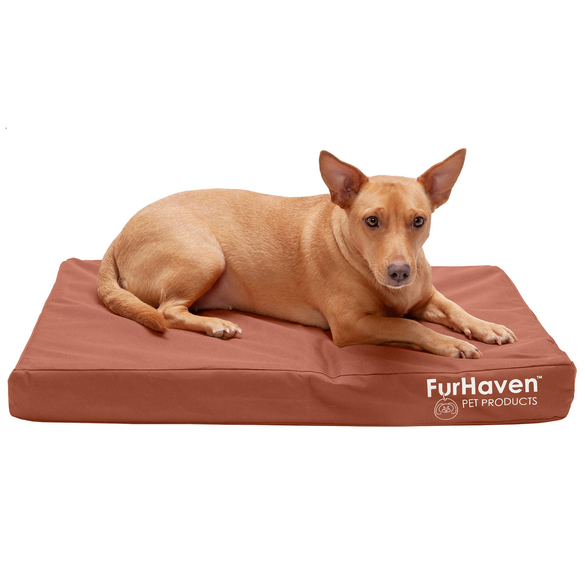 Furhaven pet outlet products inc