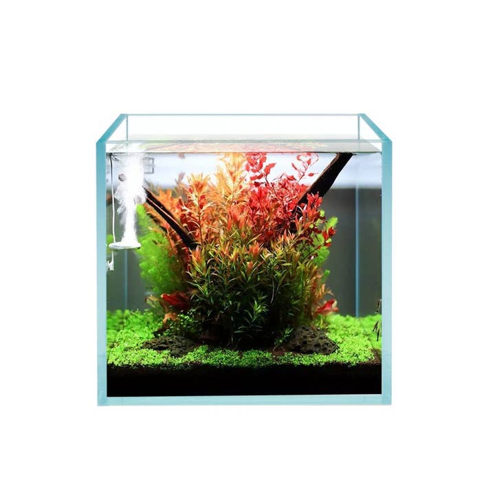 HIRO AQUATICS - Wholesale Terrarium - 7 Gallon Nano Tall Rimless Glass Aquarium, w/ Lids Options4