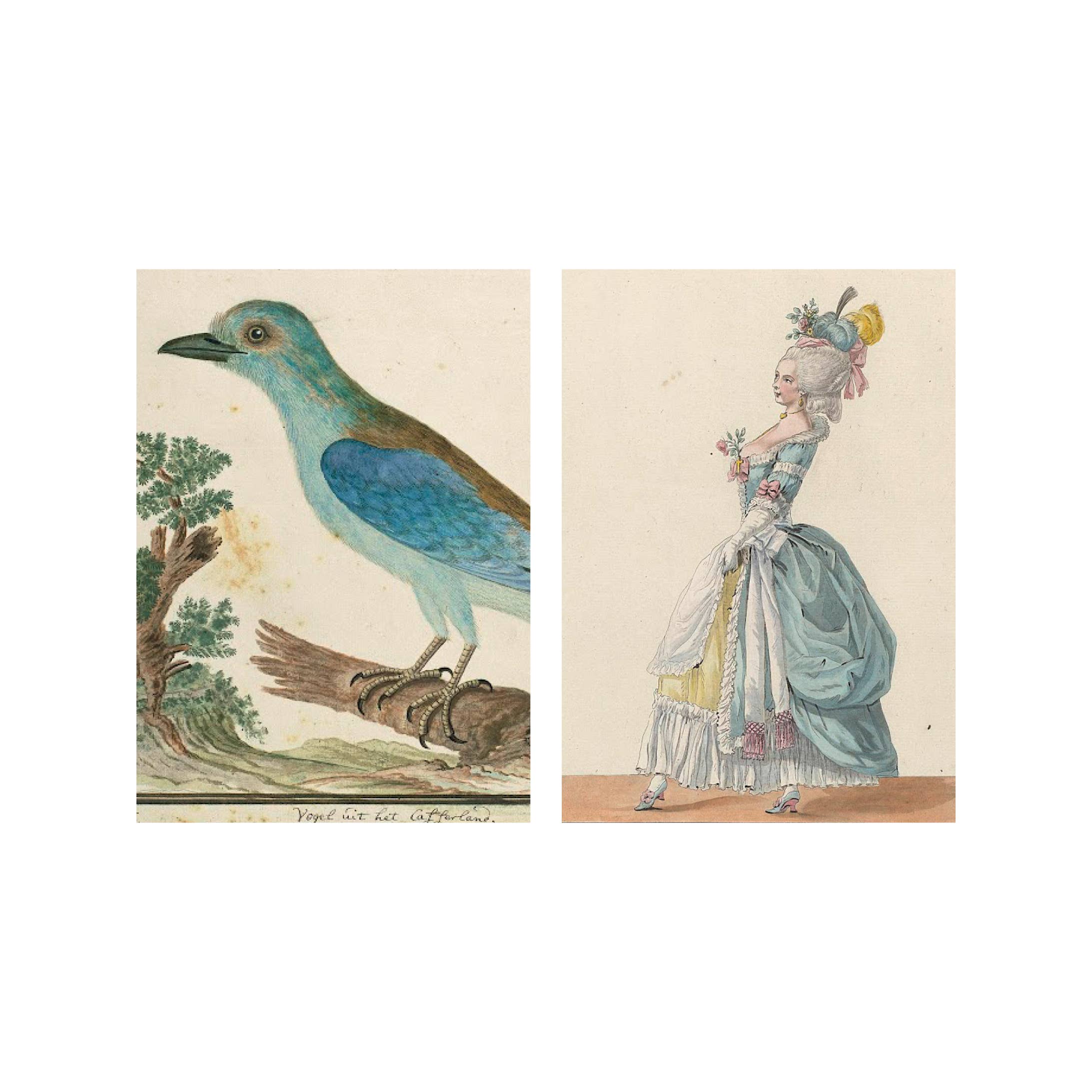 Lylies - Vendita all'ingrosso Mattonelle - Piastrella da parete Rijksmuseum Dama e ghiandaia marina2