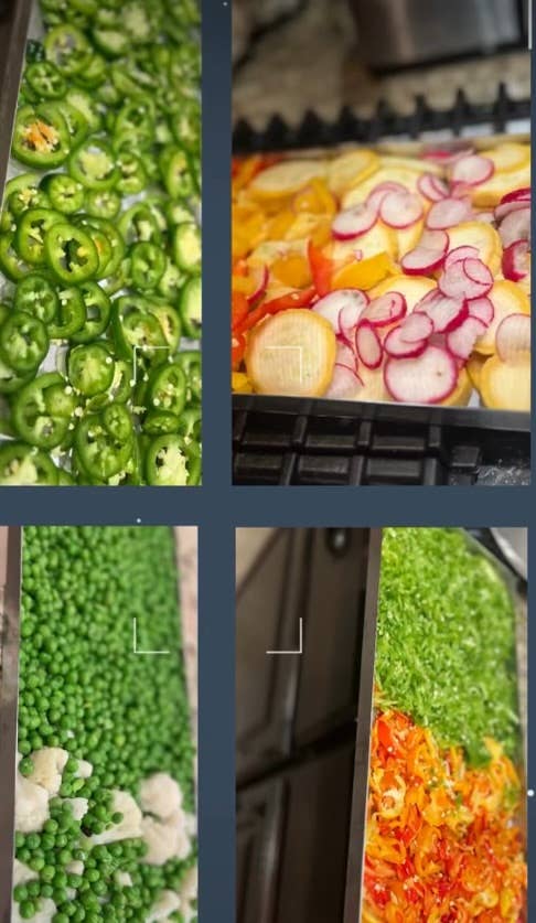 Lindsey’s Lovelies - Wholesale Pet Treats - Dog - Freeze Dried Vegetable Mix2