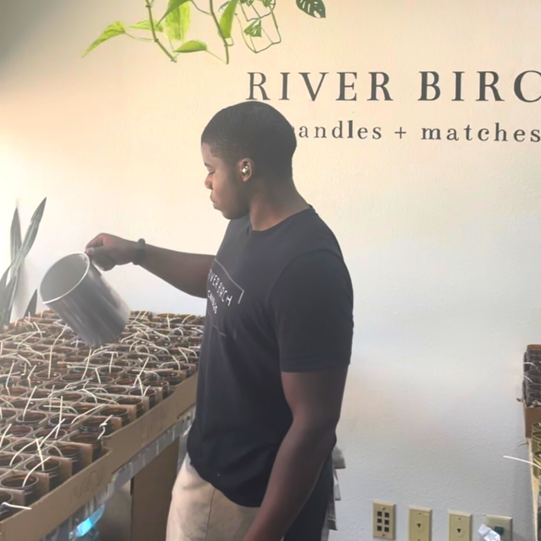 River Birch Candles – Engroshandel Glaslys – 8.5oz jul - rav krukke - soja stearinlys6