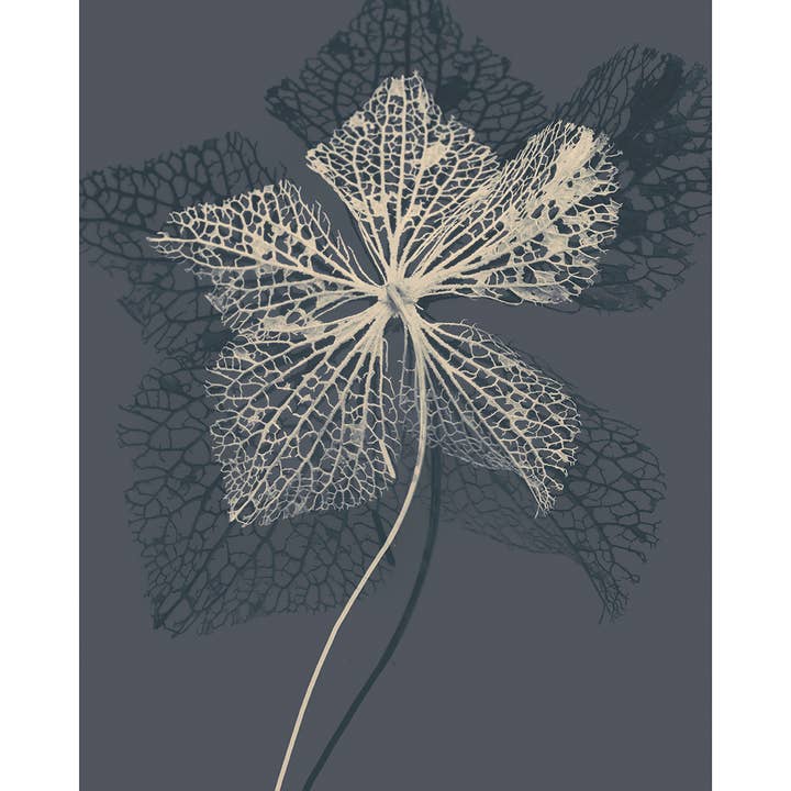 Ian Winstanley (Stem Silhuet IV) - PPR43862 for engroshandel hos The Art Group