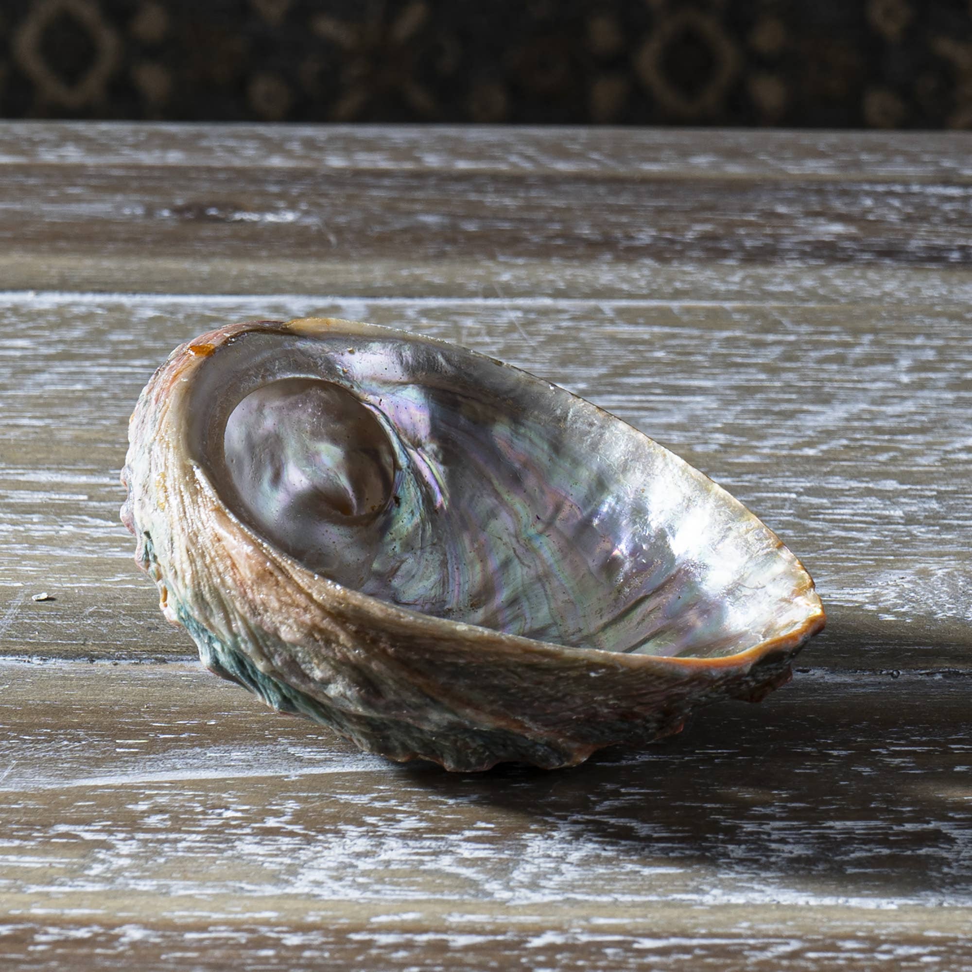 Pacific Trading - Wholesale Smudge Plate - Abalone Smudge Shell With Tripod Stand 4"8