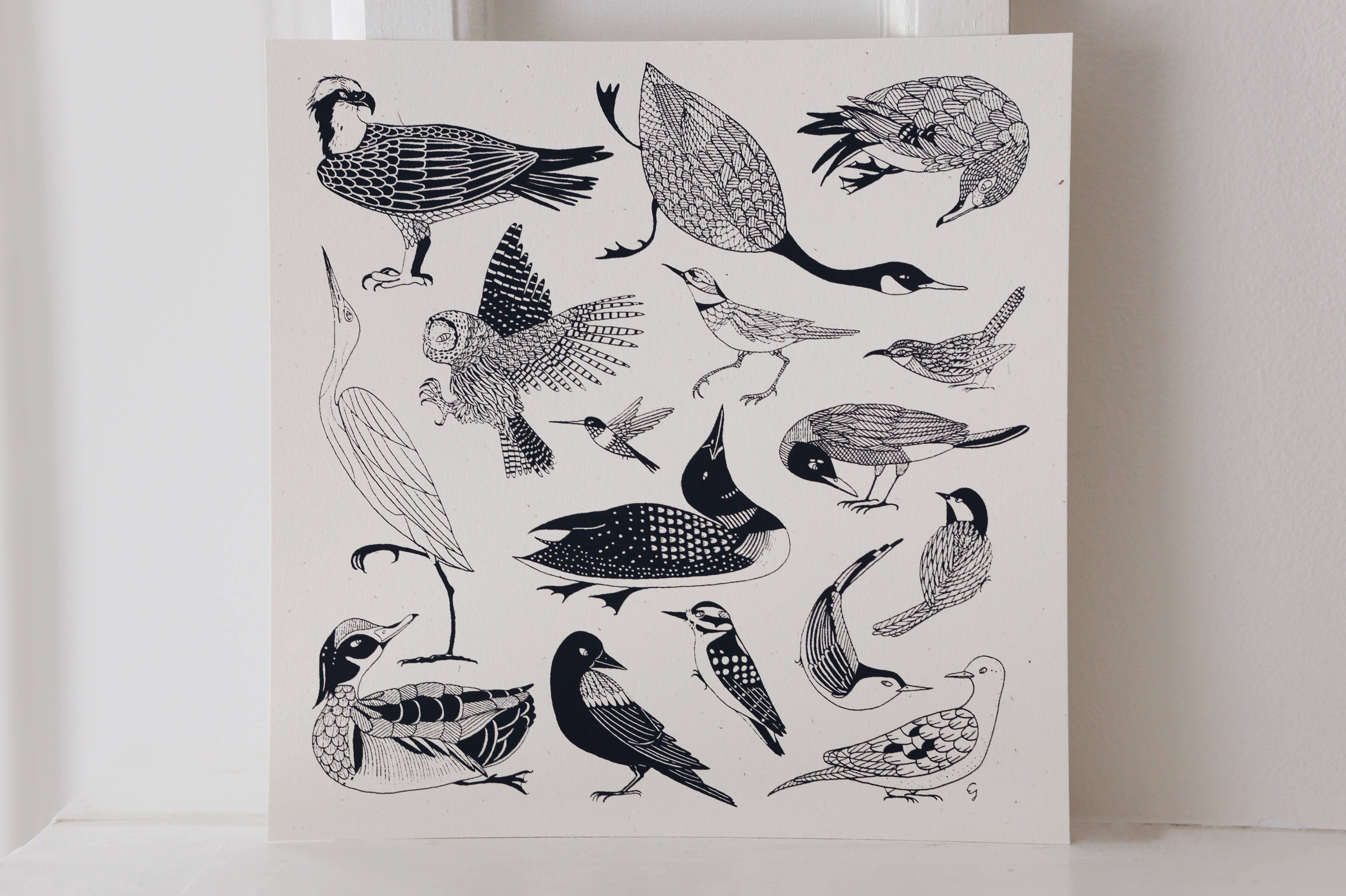 As Little Cooking as Possible - Wholesale Art Print - New England Birds | Screen-Print | Made in Vermont2