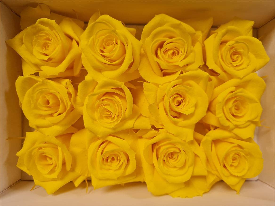 Dutch Flower Studio - Wholesale Artificial Flowers - 🌸 Preserved Roses - 10 colors - Decoration - Flowers - 4 cm6