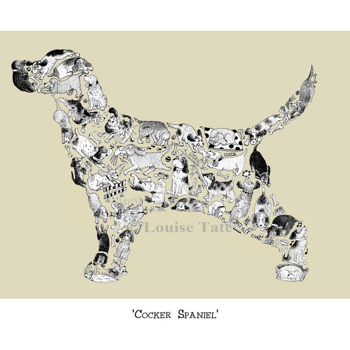 Cocker Spaniel for wholesale by Louise Tate Illustration