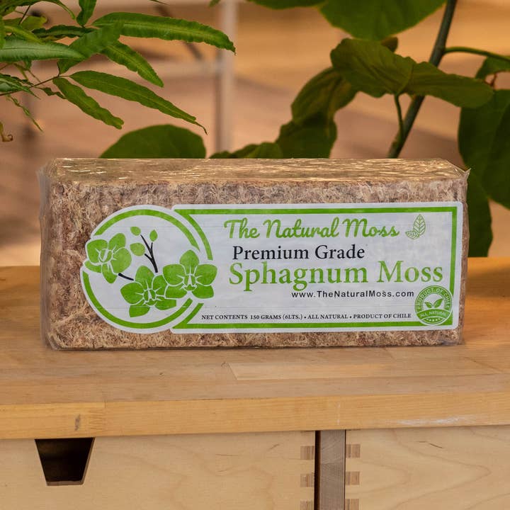 Lost in the Forrest – wholesale Jord för plantering/krukväxter – Vitmossa0