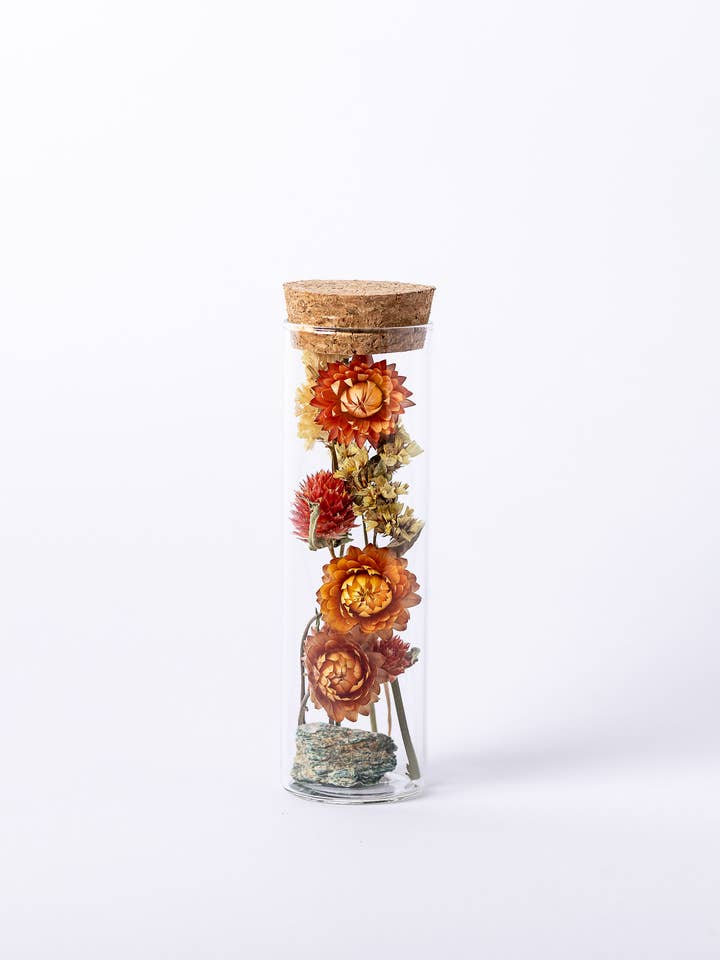 Vaso de Terra de Herbário Floral Seco Fuchsita - Médio por atacado de Orchid & Pine Studio