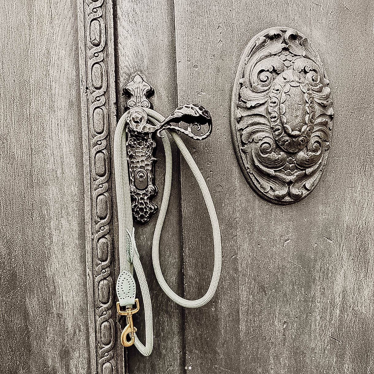 ne&no - Vente Laisse – chien - ne&no® Laisse pour chiens –120 ou 170 cm– laisse fixe7