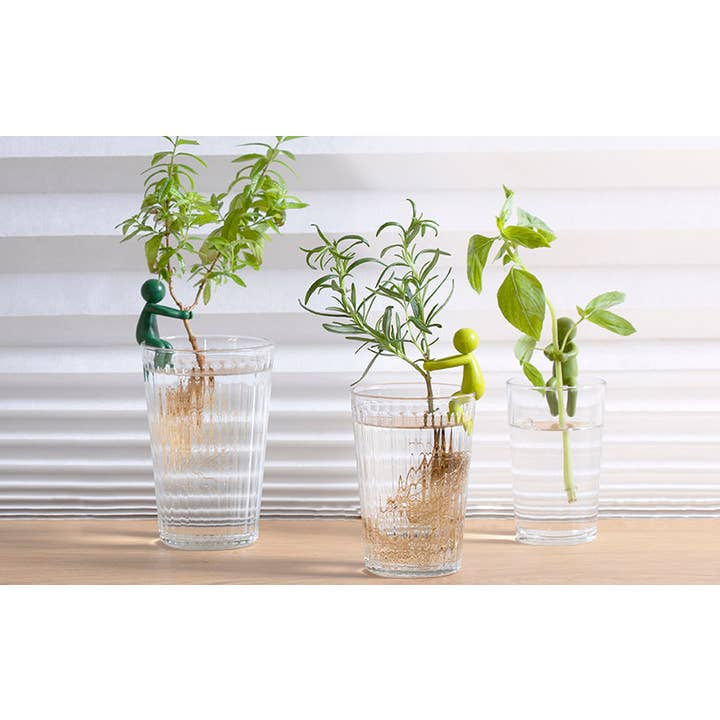 Peleg Design - Wholesale Plant Pot - Leafriend - Plant Propagation Buddy7