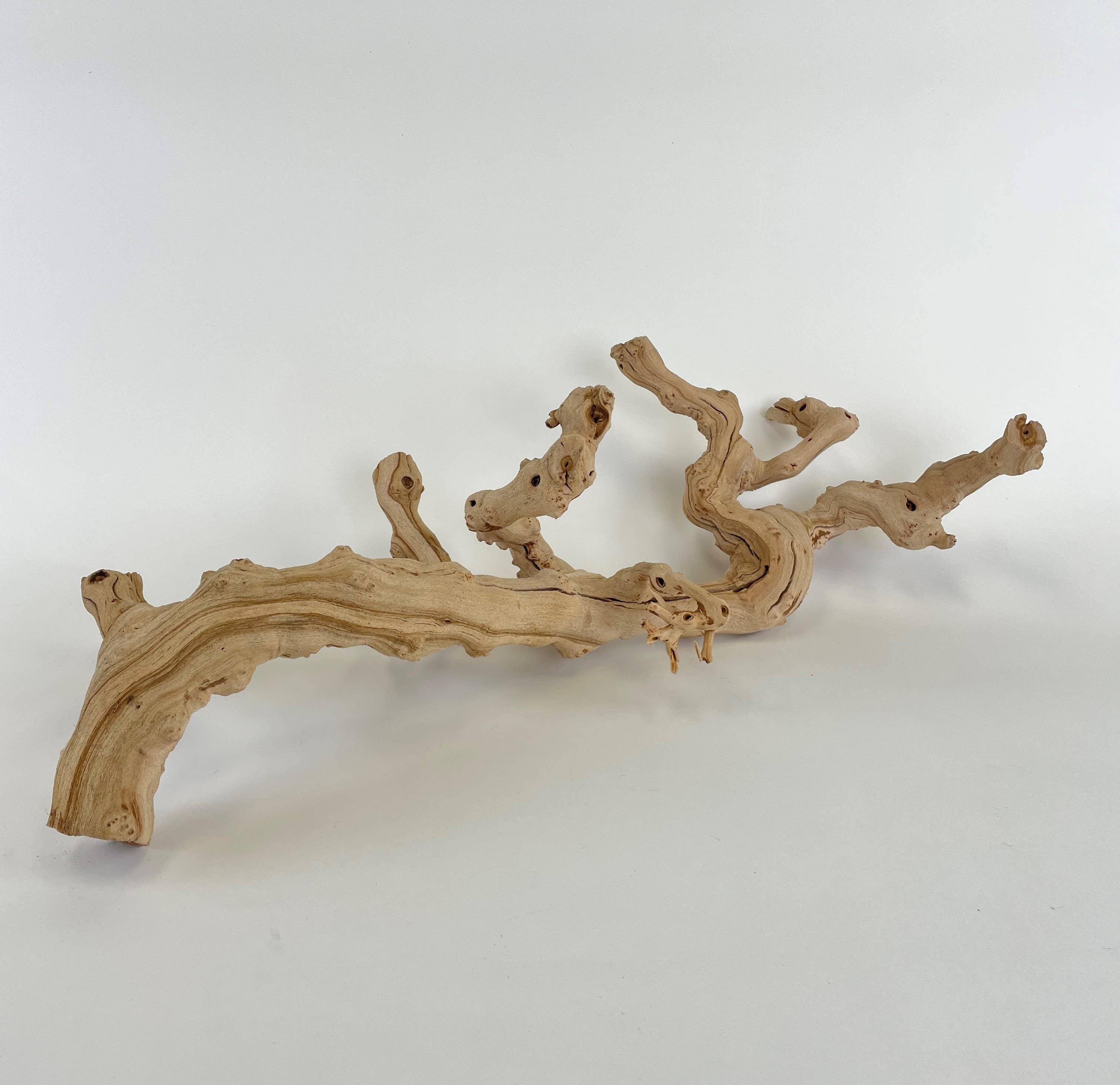 Andaluca - Wholesale Decorative Tabletop Object - 22" Sandblasted Grapewood1