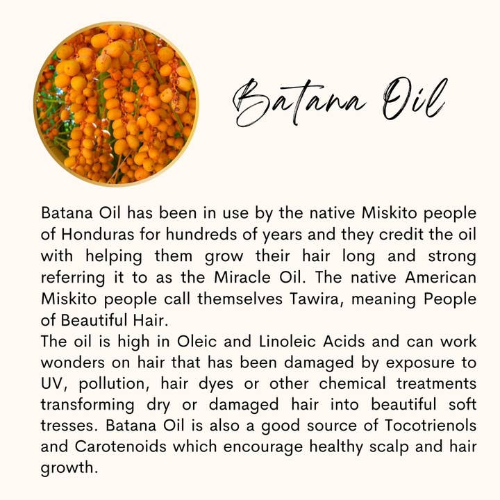 The Sacred Essence – wholesale Hårolja – HÖGRE VISDOM - 16 Kraftfull hårväxt och stärkande oljor15