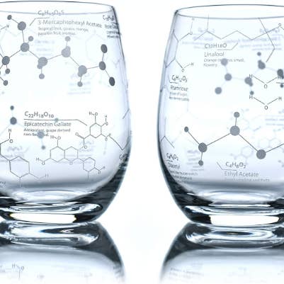 Science of Wine Etched Wine Glass for wholesale by Greenline Goods