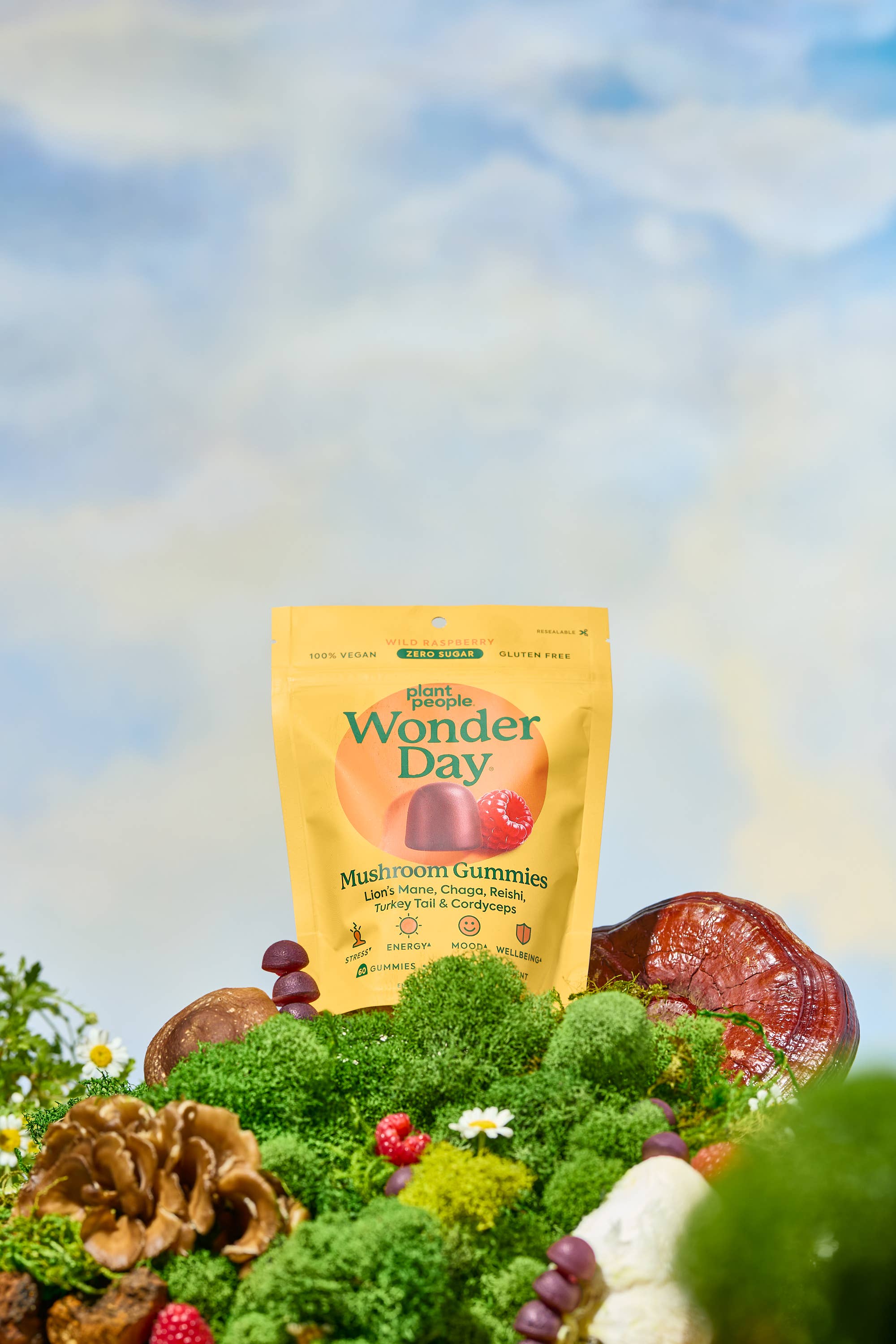 Plant People - Wholesale Oral Supplement/Vitamin - WonderDay - Super Mushroom Gummies2