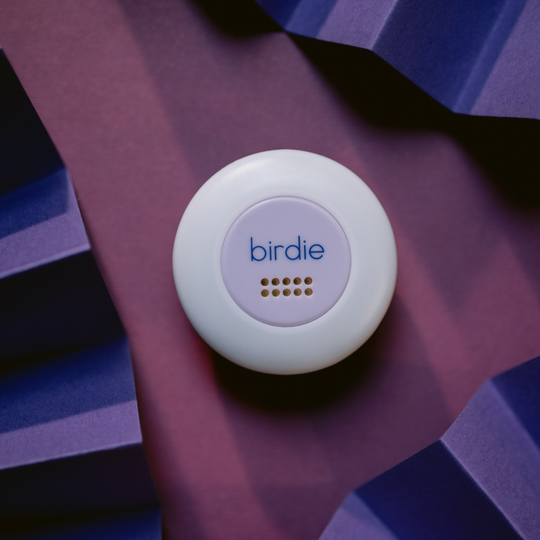 She's Birdie - Wholesale Safety Alarm/Gear - Birdie Disc9
