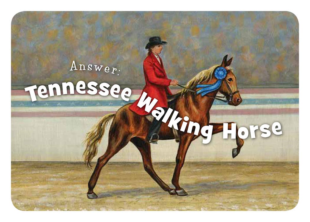 Sleeping Bear Press - Wholesale Baby & Toddler Book (0-2) - Little Tennessee Board Book6